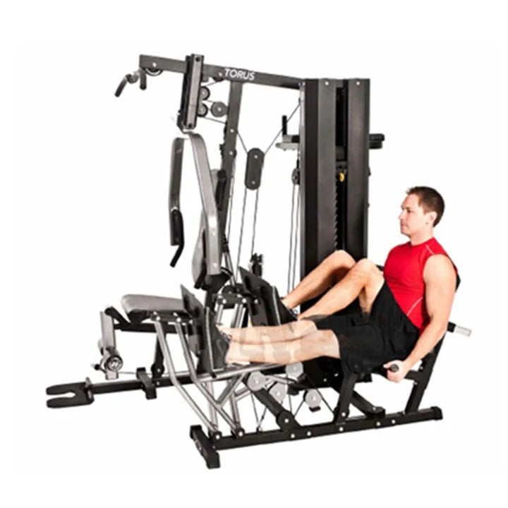Horizon Fitness Torus 5 Multi-Gym