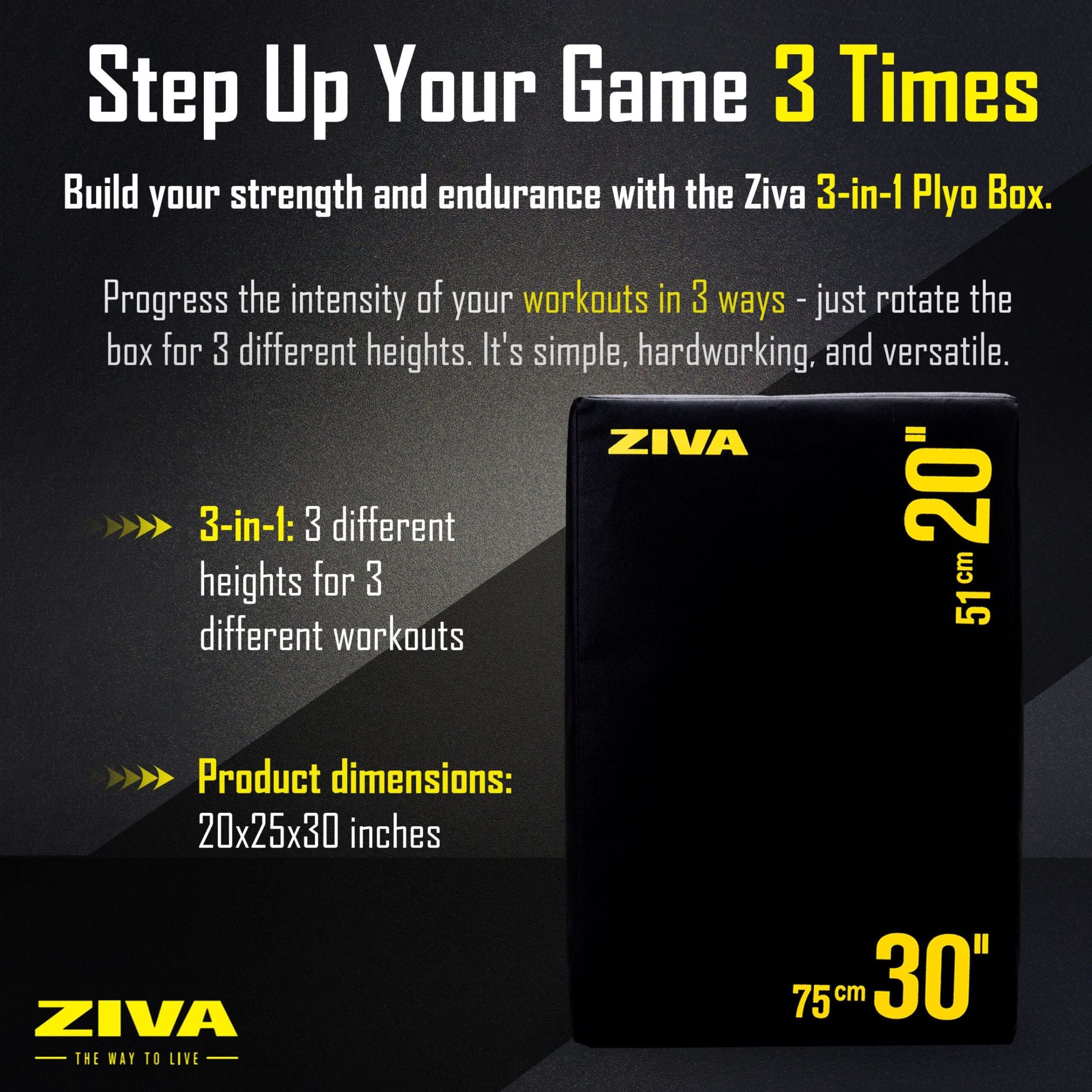 ZVO Performance Plyo Box