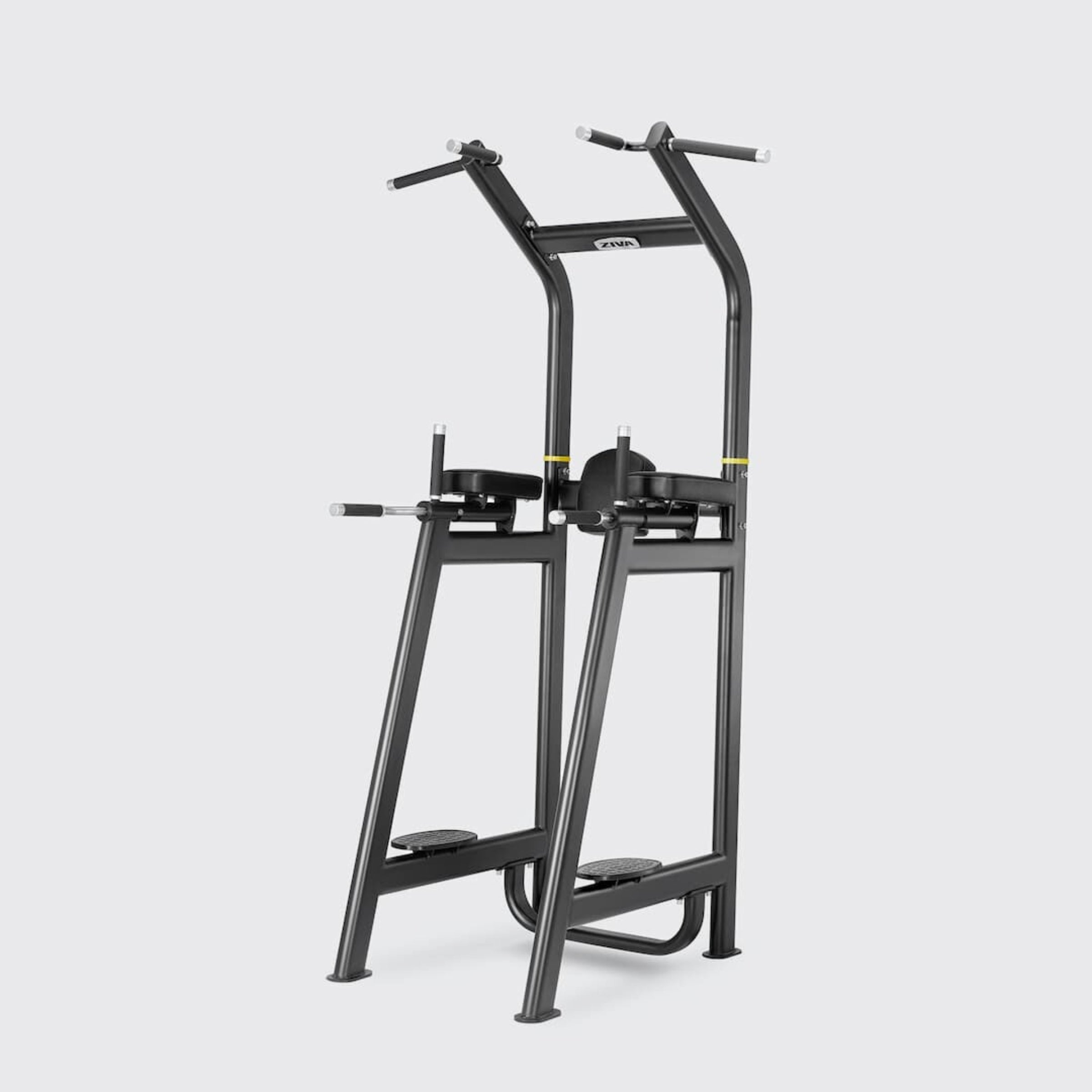 Multi-grip Pull-up Station