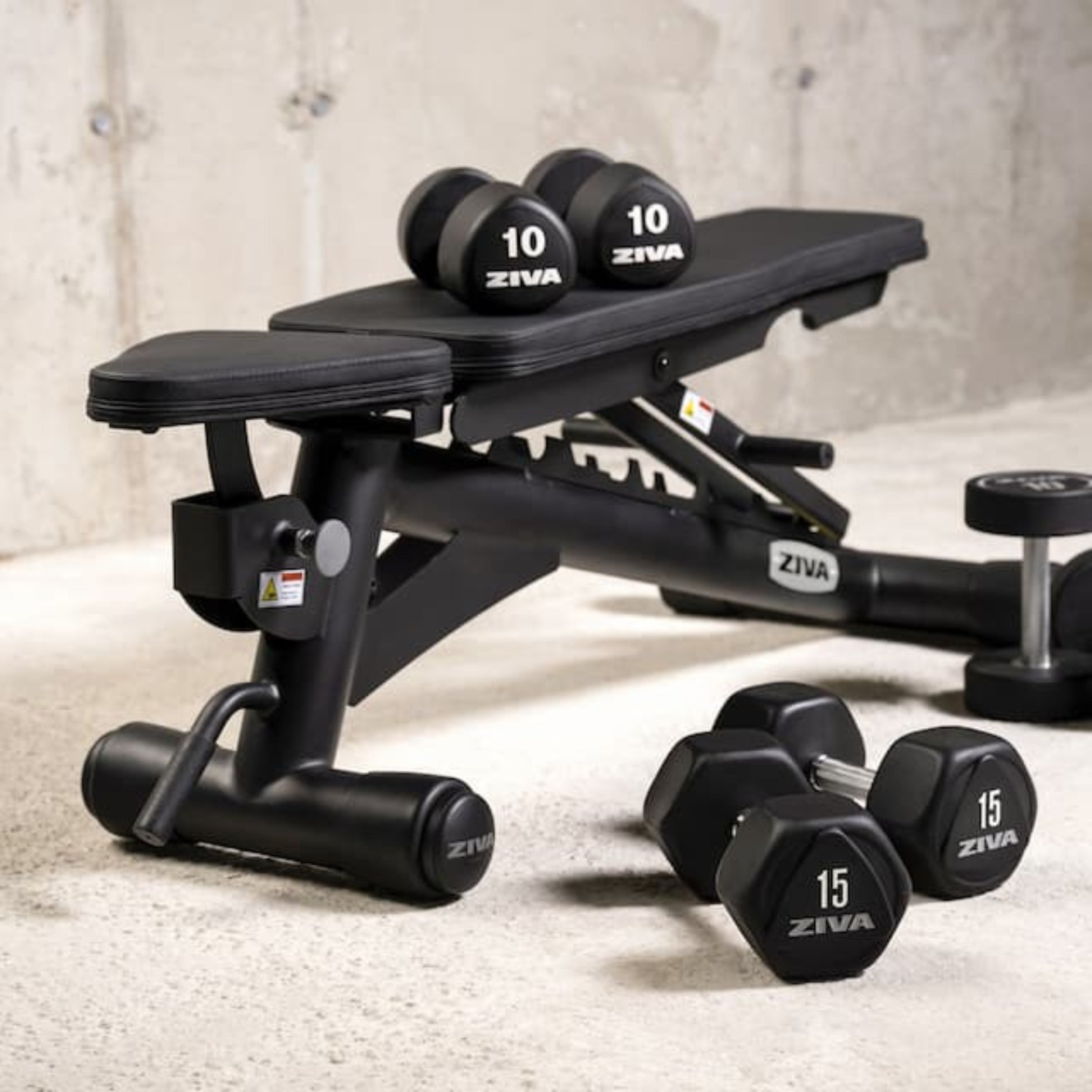 ZVO Urethane Tribell Studio Dumbbells